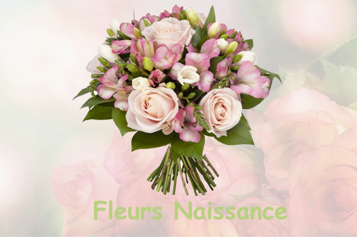 fleurs naissance LIVET-ET-GAVET