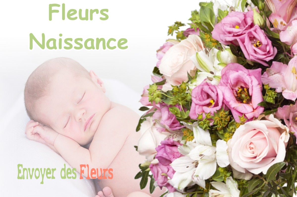 lIVRAISON FLEURS NAISSANCE à LIVET-ET-GAVET